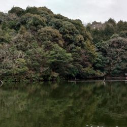 2/28　ウグイスの初鳴きを観測 ～岡崎トラウトポンド～　Lesson 14